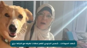 شغف الحيوانات.. شمس البارودي تظهر لحظات لطيفة مع كلبتها ديزي